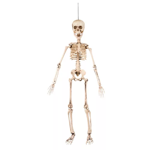 Függő Halloween dekoráció mozgatható csontváz Flex (50 cm)