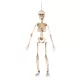 Függő Halloween dekoráció mozgatható csontváz Flex (50 cm)