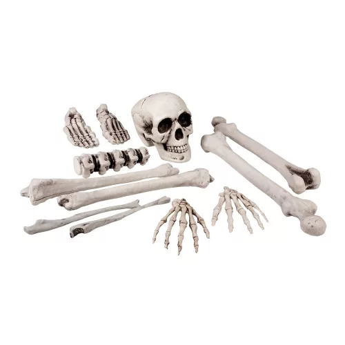 Szett – Koponyák és csontok 12 pieces (23 cm)