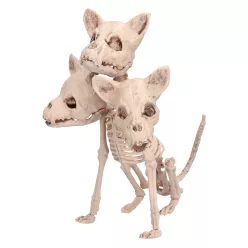 Cerberus csontváz (42 x 20 x 31 cm)