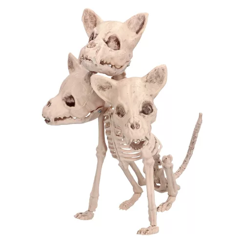 Cerberus csontváz (42 x 20 x 31 cm)