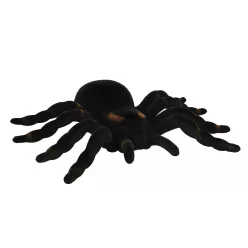 Tarantula pók (16 x 11 cm)