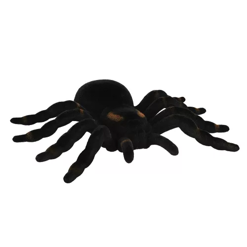 Tarantula pók (16 x 11 cm)