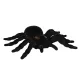 Tarantula pók (16 x 11 cm)