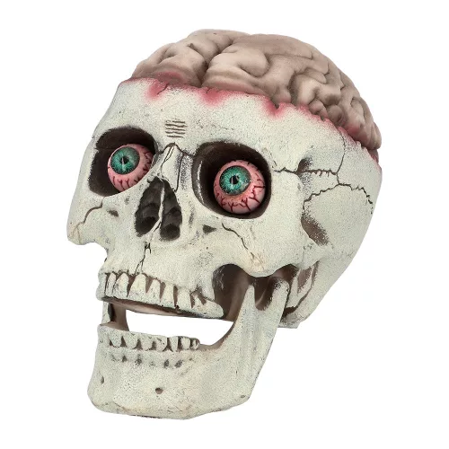 Brain-dead koponya mozgatható állkapoccsal (18 x 13 x 15 cm)