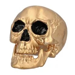   Maxilla koponya arany mozgatható állkapoccsal (17 x 17 x 24 cm)