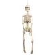 Függő Halloween dekoráció csontváz (92 cm)