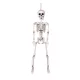 Függő Halloween dekoráció mozgatható csontváz (60 cm)