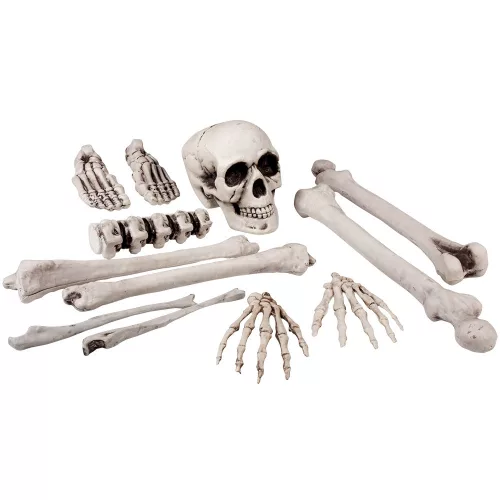 Szett – Koponyák és csontok L 12 pieces (40 cm)