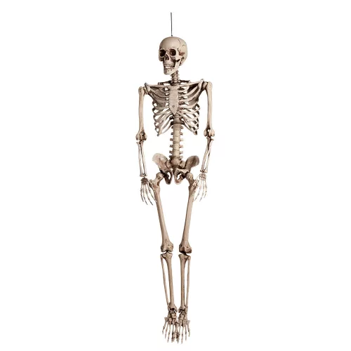 Függő Halloween dekoráció fehér csontváz (160 cm)