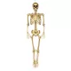Függő Halloween dekoráció arany csontváz (160 cm)