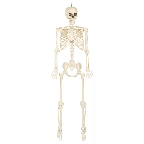 Függő Halloween dekoráció sovány csontváz (160 cm)