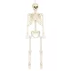 Függő Halloween dekoráció sovány csontváz (160 cm)