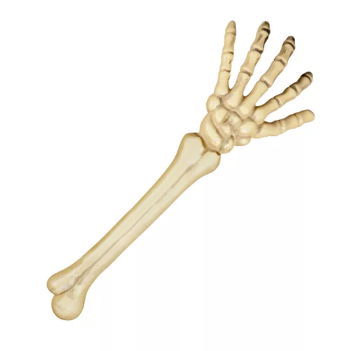 Csontvázkar (46 cm)