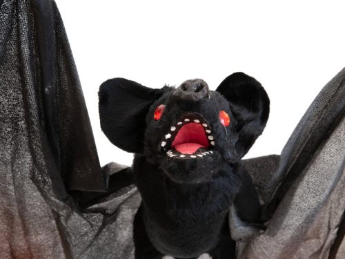 Denevér kb. 120 cm-es szárnyhosszúsággal