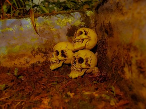 3db-os koponya dekoráció