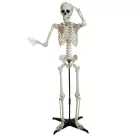 Álló csontváz állvánnyal  - 150 cm - halloweeni dekoráció