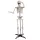 Álló csontváz állvánnyal  - 150 cm - halloweeni dekoráció