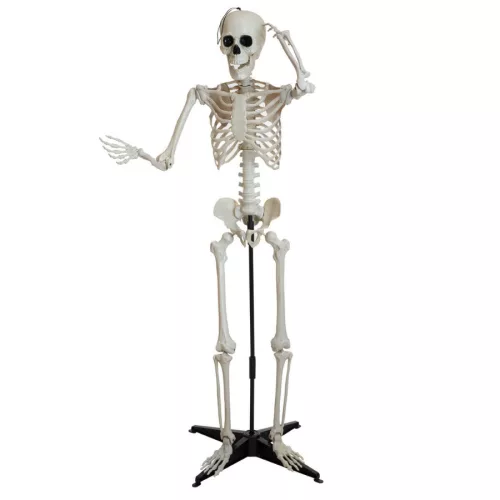 Álló csontváz állvánnyal  - 150 cm - halloweeni dekoráció
