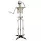 Álló csontváz állvánnyal  - 150 cm - halloweeni dekoráció