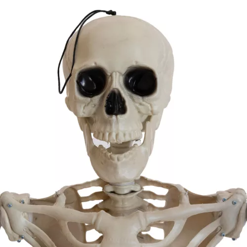 Álló csontváz állvánnyal  - 150 cm - halloweeni dekoráció