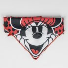 Disney Minnie Fun kisállat üdvözlő készlet