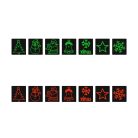 Lézerprojektor, 8 fényeffekt, piros és zöld lézer