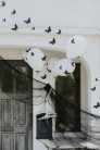 Paper Moth Decoration, black, 6-12cm (1 pkt / 30 pc.)