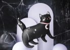 Fólia lufi Cat, 96x95 cm, mix