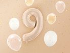 Foil Balloon Number ''9'', 72cm, dark beige