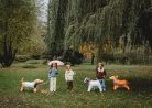 Standing Foil Balloon Bulldog, 75x57 cm, mix