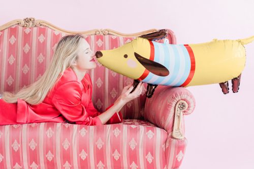 Fóliás ballon tacskó, 96x58, mix