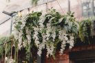 Wisteria füzér, 1,7 m