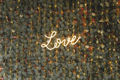 Garland Eucalyptus - LED, 2 m