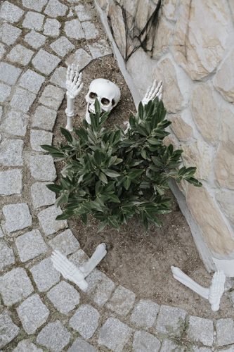 Csontváz halloweeni dekoráció - 5 részes