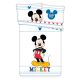 Disney Mickey Colors gyerek ágyneműhuzat 100×135cm, 40×60 cm