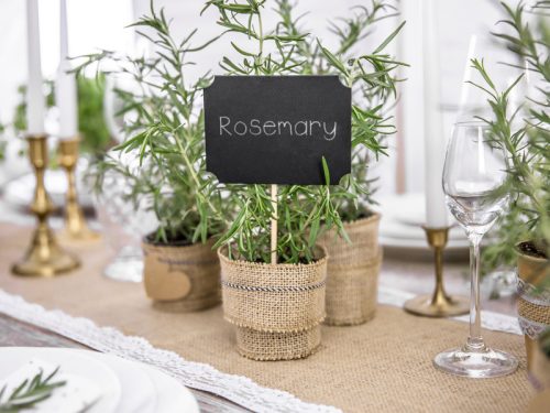 Kártyák pálcán, fekete, 11 x 8 cm (1 pkt / 4 db.)