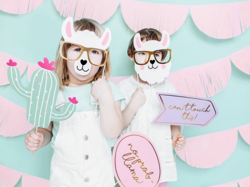 Fotó kellékek Llama, mix (1 pkt / 5 db.)