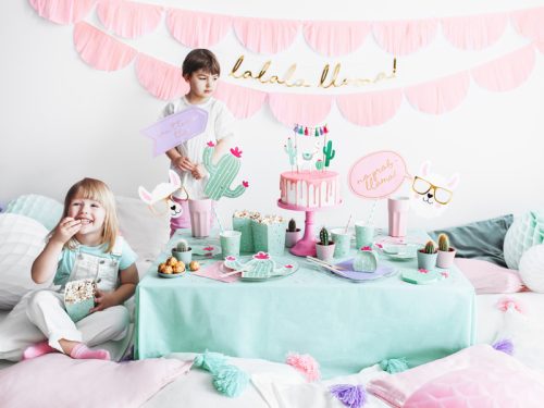 Fotó kellékek Llama, mix (1 pkt / 5 db.)