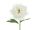 Művirág- Bazsarózsa, 35 cm, fehér