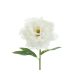Művirág- Bazsarózsa, 35 cm, fehér