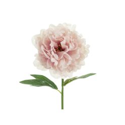 Művirág- Bazsarózsa, 35 cm, halvány rózsaszín