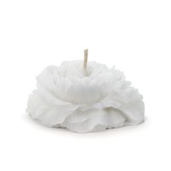   Úszó gyertya bazsarózsa, matt, fehér, 8 cm (1 pkt / 4 db.)