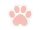 Napkins - Kitty Paws, mix, 15,5 x 14,5 cm (1 pkt / 12 pc.)