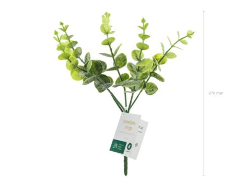 Kis csokor ágakból - Eukaliptusz, 27 cm